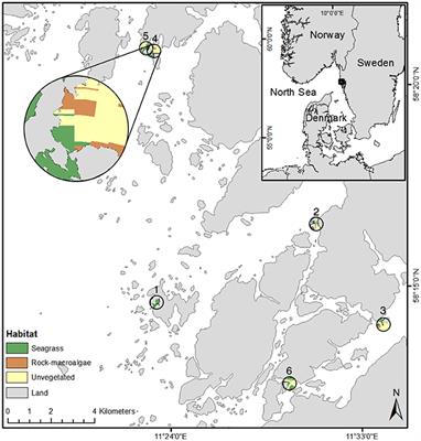 Habitat Connectivity of Fish in Temperate Shallow-Water Seascapes